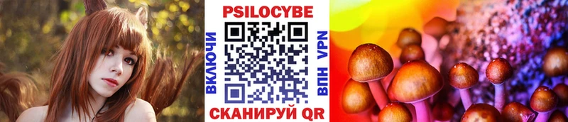 ссылка на мегу ссылка  Ветлуга  Галлюциногенные грибы Cubensis 